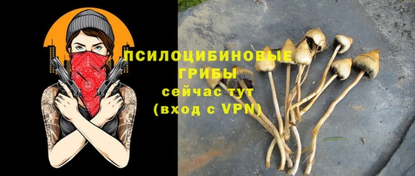 эйфоретик Карпинск