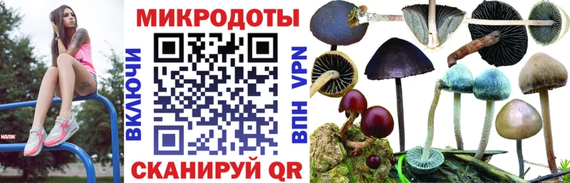 Купить  Елизаветинская  Галлюциногенные грибы Magic Shrooms 